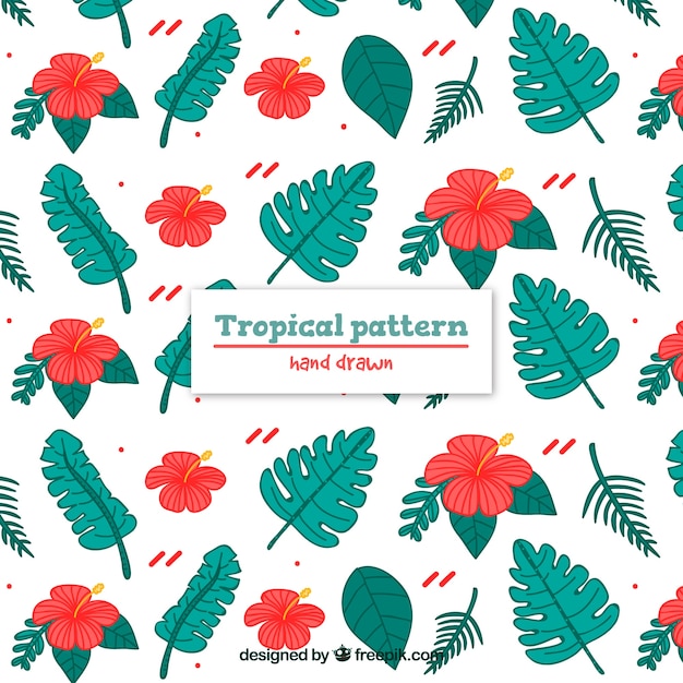 Free vector colorful hand drawn tropical pattern