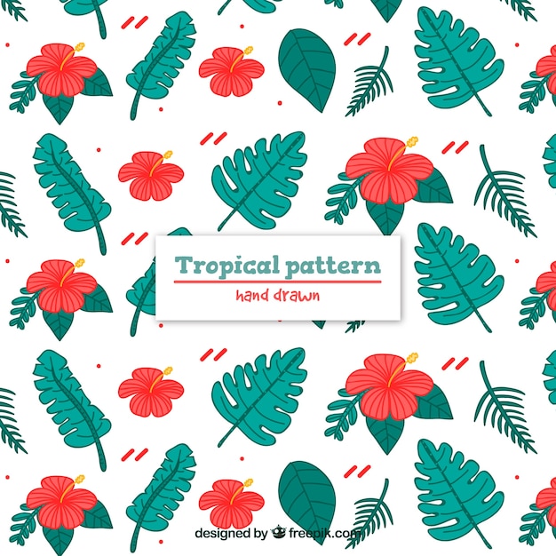 Colorful hand drawn tropical pattern