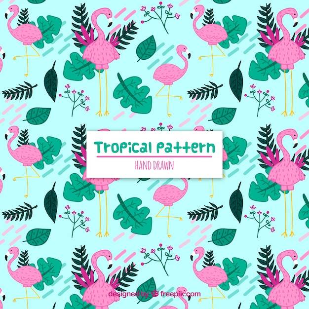 Free vector colorful hand drawn tropical pattern