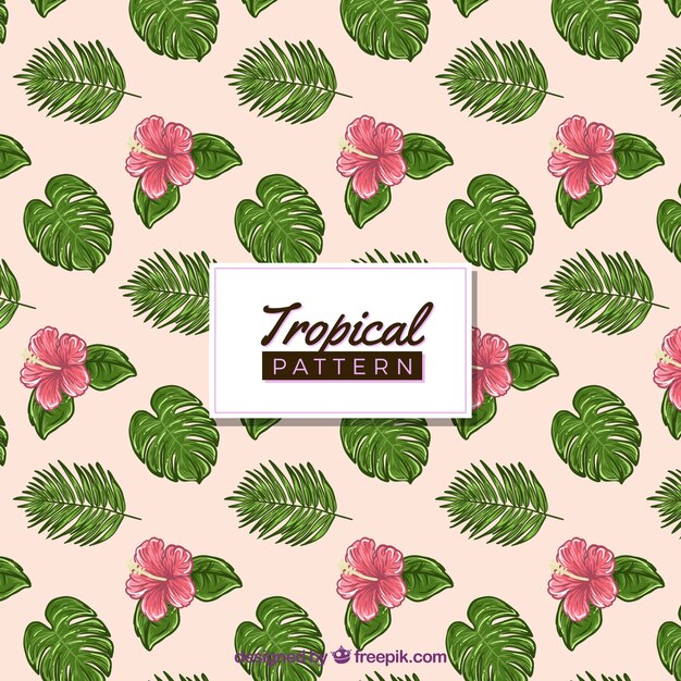 Free Vector colorful hand drawn tropical pattern