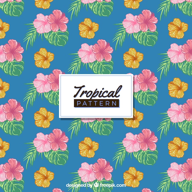 Free Vector colorful hand drawn tropical pattern