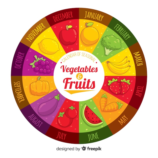 Красочные рисованной колесо сезонных овощей и фруктов
