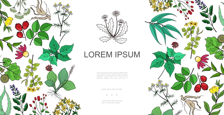 Free Vector colorful healthy plants background with drug and medicinal herbs in hand drawn style illustration