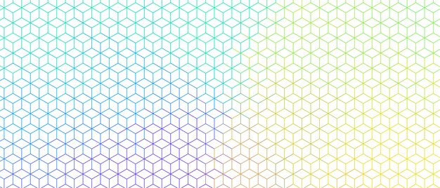 Colorful hexagonal line wide pattern design banner