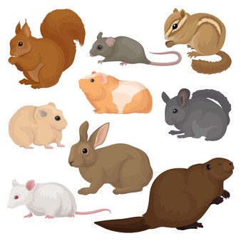 手描きスタイル リアルな動物イラストがかわいいハムスター プレミアムベクター 手描きスタイル リアルな動物イラストがかわいいハムスター プレミアムベクター