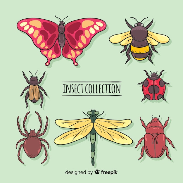 Free vector colorful insect collection