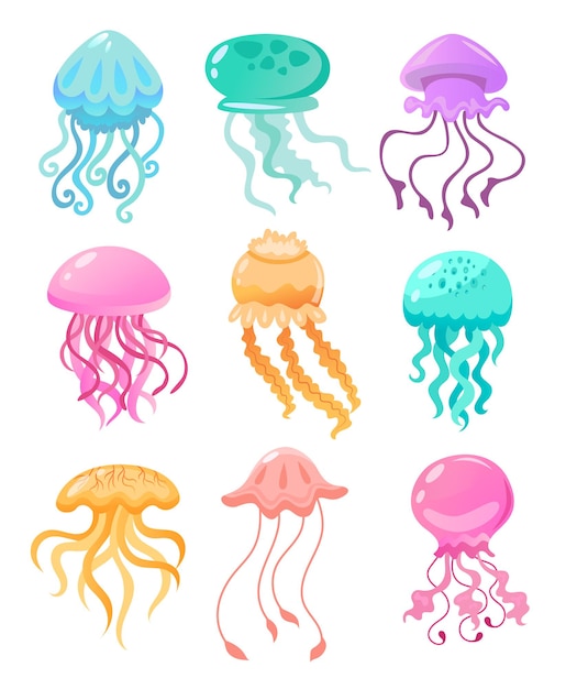 Colorful jellyfish of different shapes illustration