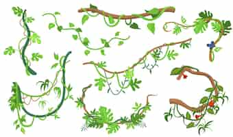 Free vector colorful liana or jungle plant flat set for web design. cartoon climbing twigs of tropical vines and trees isolated vector illustration collection. rainforest, greenery and vegetation concept