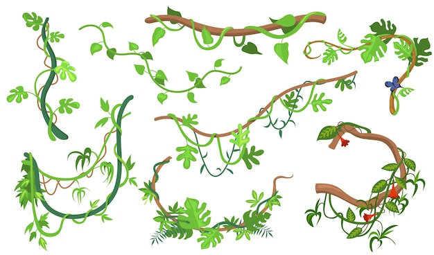 ウェブデザインのためのカラフルなつる植物またはジャングル植物フラットセット。熱帯のブドウの木や木の孤立したベクトルイラストコレクションの漫画登山小枝。熱帯雨林、緑と植生の概念