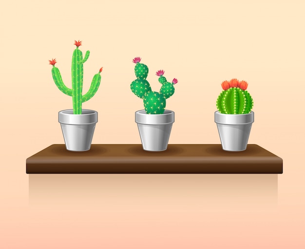 Free vector colorful light houseplants set