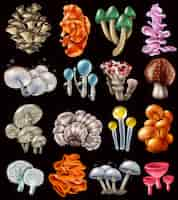 Vettore gratuito set di funghi magici colorati