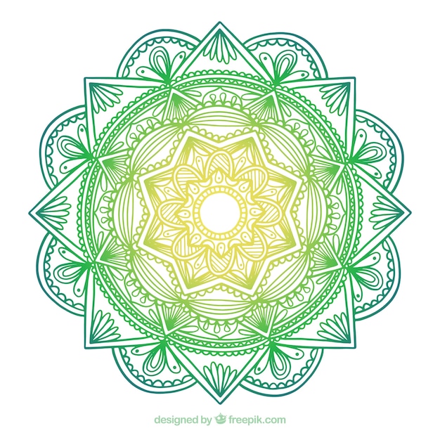 Download Free Colorful Mandala With Ornaments Vector - Good SVG ...