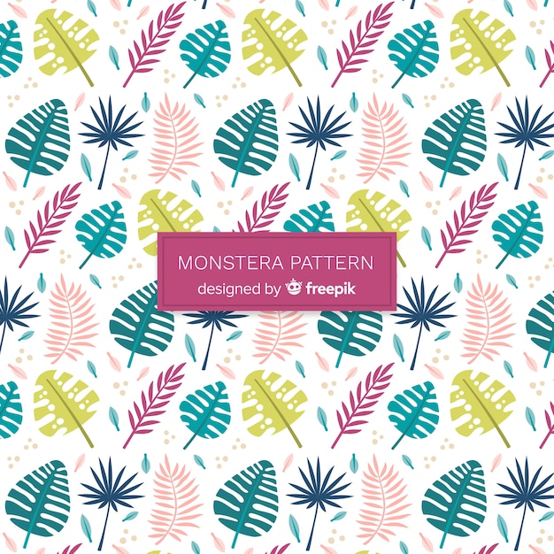 Colorful monstera leaves background