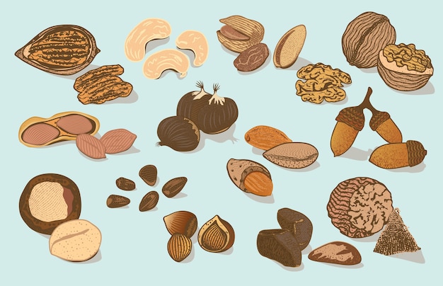 Colorful Natural Organic Nuts Collection