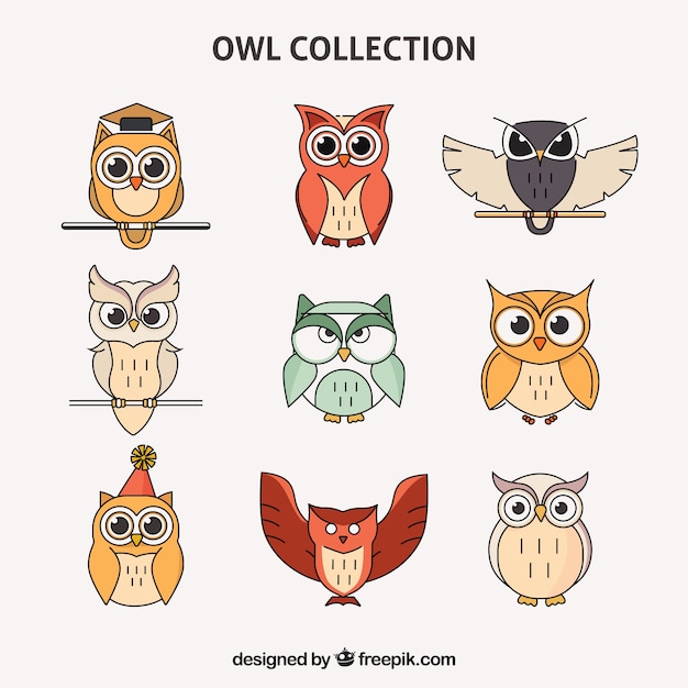 Free vector colorful outline owl set of nine