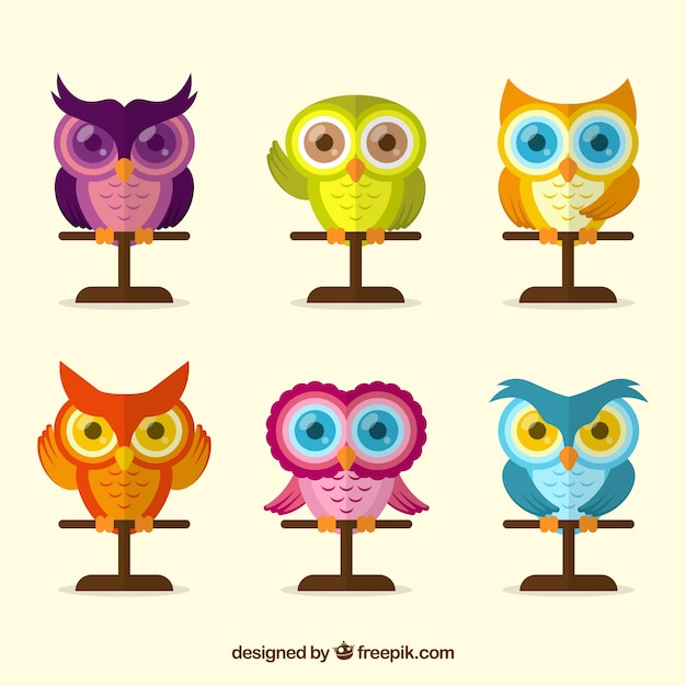 Free vector colorful owl set