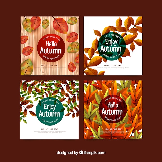現実的なスタイルの秋のカードのカラフルなパック