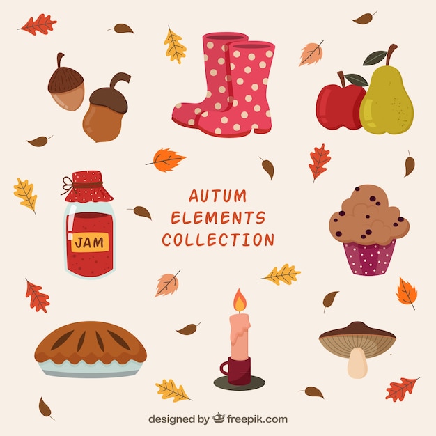 Free vector colorful pack of autumnal elements