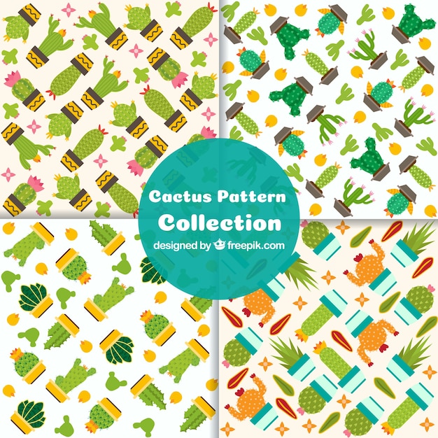 Free vector colorful pack of cactus patterns