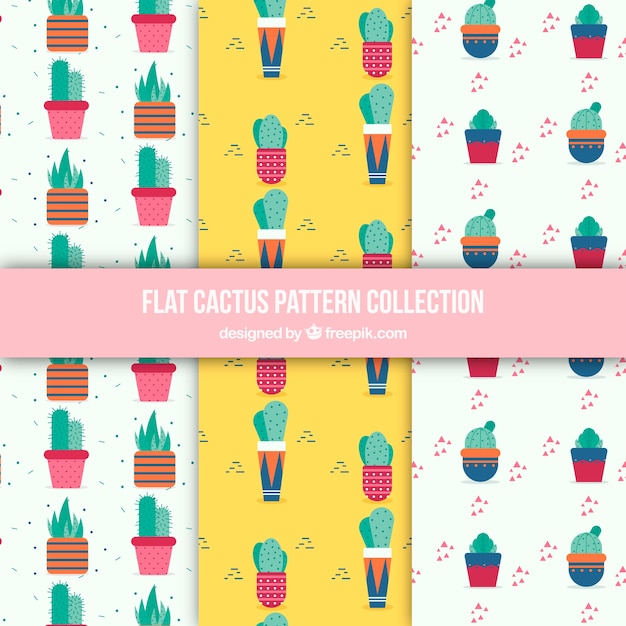 Vettore gratuito pacchetto colorato di modelli cactus piatti