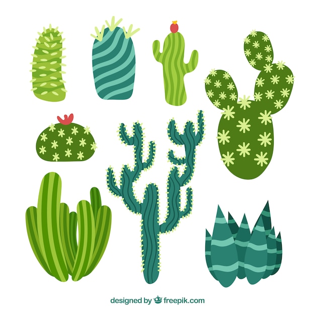 Free vector colorful pack of flat cactus