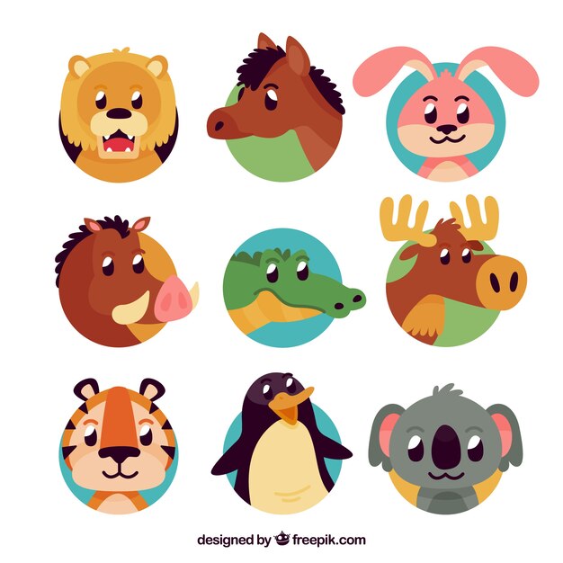 Colorful pack of fun animal faces