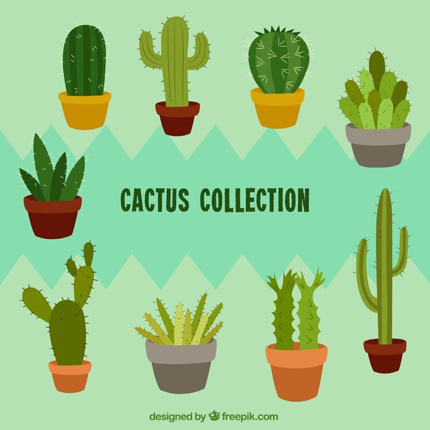 Colorful pack of hand drawn cactus