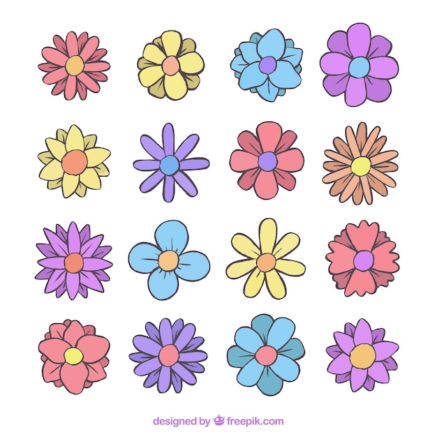 Free vector colorful pack of hand drawn floral elements