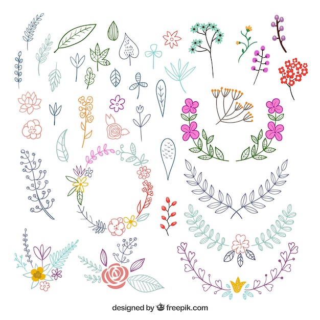 Free vector colorful pack of hand drawn floral elements