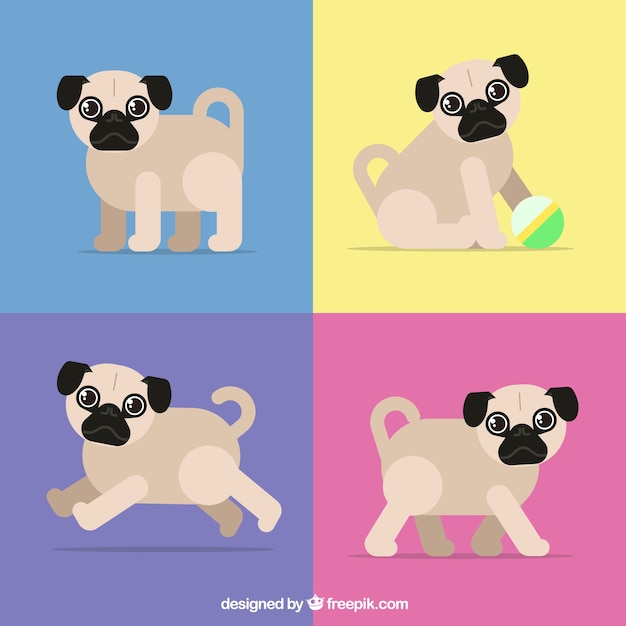 Vettore gratuito pacchetto colorato di pugs con disegno piatto