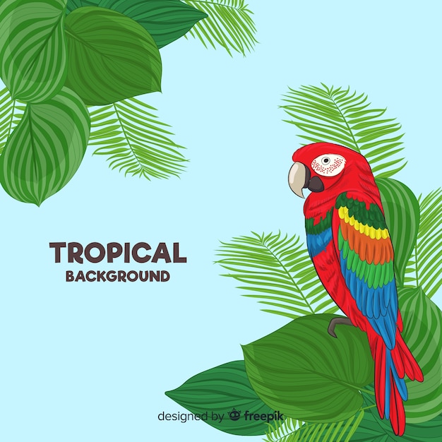 Colorful parrot with tropical leaves background