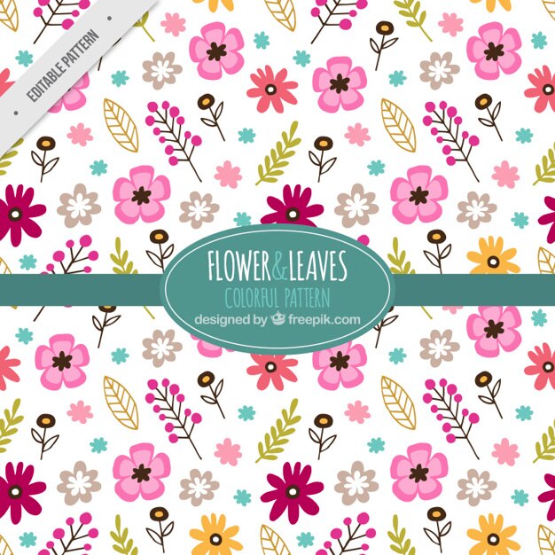 Free Vector colorful pattern of flowers and leaves