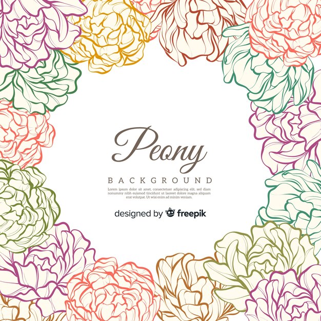 Colorful peony flowers background