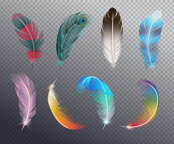 Free Vector colorful realistic set of bird feathers painted in different patterns illustration