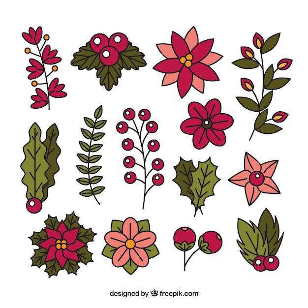 Colorful set of christmas flowers