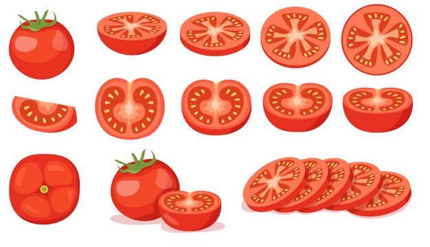 Colorful set of cut and full red tomatoes. Cartoon illustration