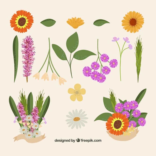 Free vector colorful set of floral elements with flat design