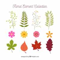 Free vector colorful set of floral elements with flat design