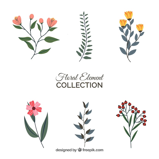 Free vector colorful set of floral elements with flat design