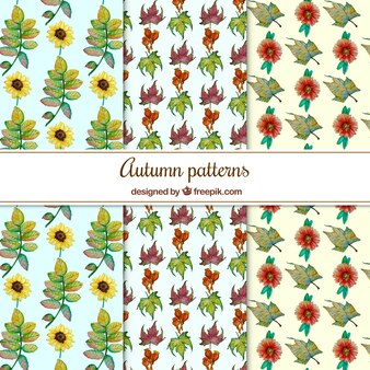 Colorful set of watercolor autumn patterns