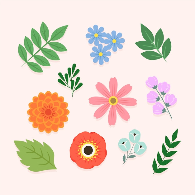 Colorful spring flower collection concept