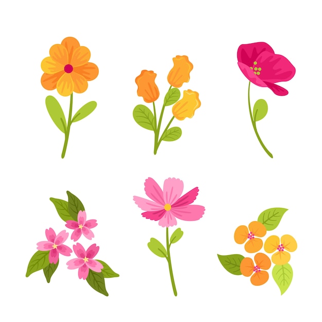 Free vector colorful spring flower collection