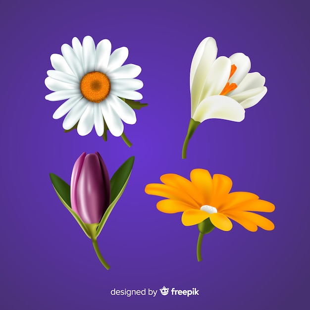 Free vector colorful spring flower set