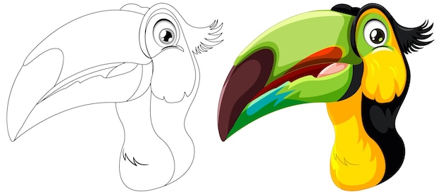 Free vector colorful toucan vector illustration