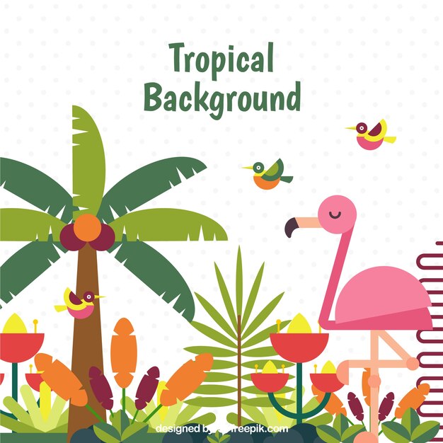Colorful tropical background with flat design