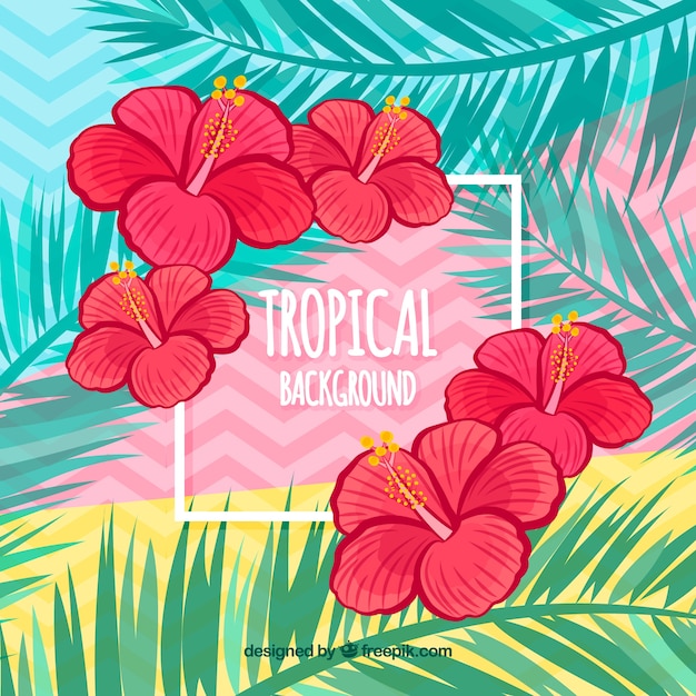 Vettore gratuito sfondo tropicale colorato con design piatto