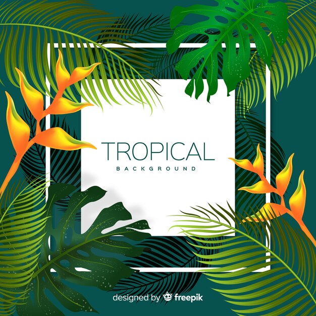 Colorful tropical background with leaves and frame