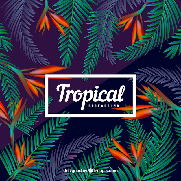 Free vector colorful tropical background with realistic design