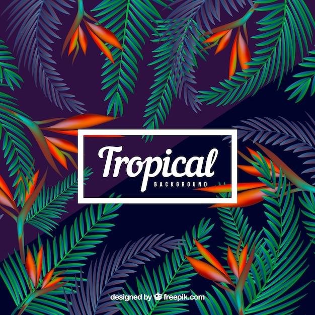 Colorful tropical background with realistic design