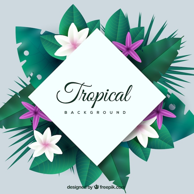 Colorful tropical background with realistic design